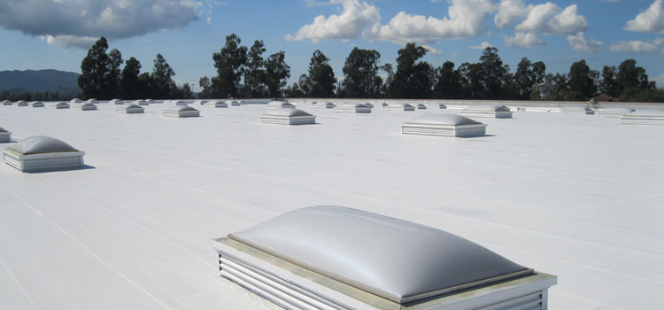 TPO Roof Repair Inglewood